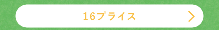 16プライス