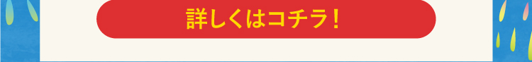 詳しくはコチラ！